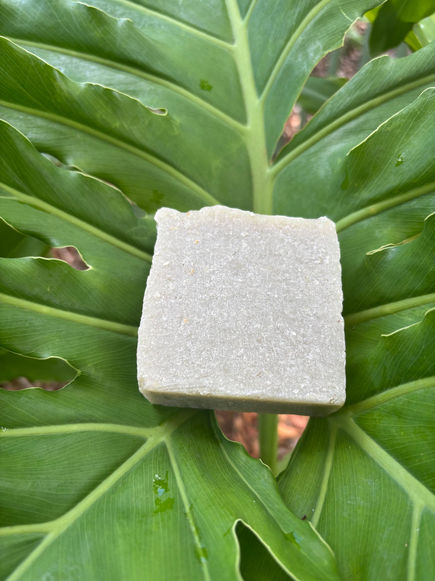 NATURAL SHAMPOO BAR